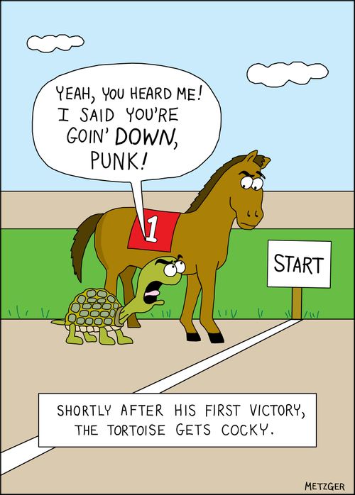 Shortly after his first victory, the tortoise gets cocky.