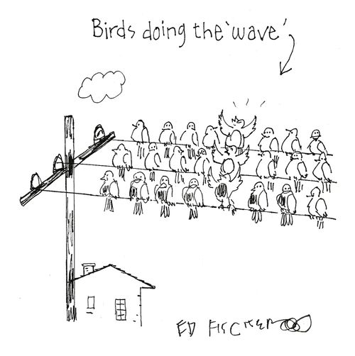 Birds doing the 'wave'.