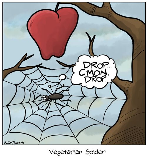 Vegetarian Spider