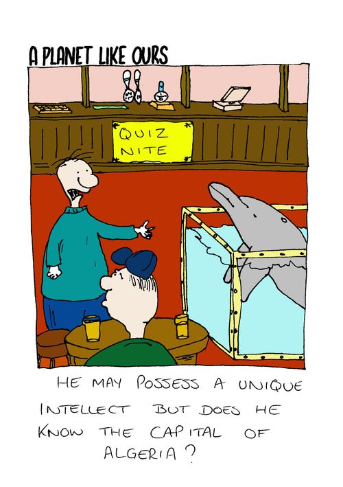 Pub quiz dolphin - "He may possess a unique intellect but does he know the capital of Algeria?"