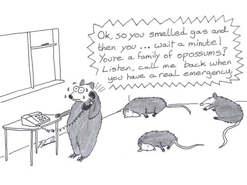 'Ok, so you smelled gas and then you ... wait a minute! You're a family of opossums?'