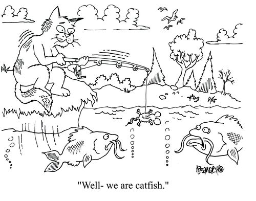 'Well - we are catfish.'