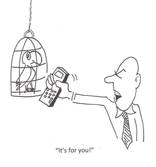 'It's for you!'
