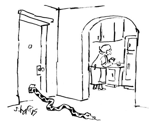 Snake enters through pet door