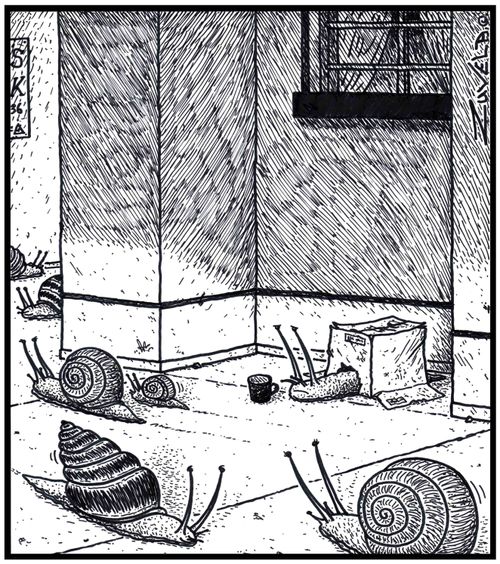 A homeless ( shell-less ) snail living out of a cardboard boxcarton.