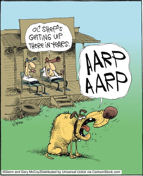 'Ol' Shep's getting up there in years.'