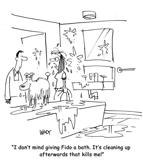 I don't mind giving Fido a bath. It's cleaning up afterwards that kills me!