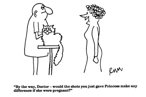 "By the way, Doctor - would the shots you just gave Princess make any difference if she were pregnant?"