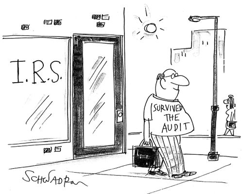 'Survived the audit'