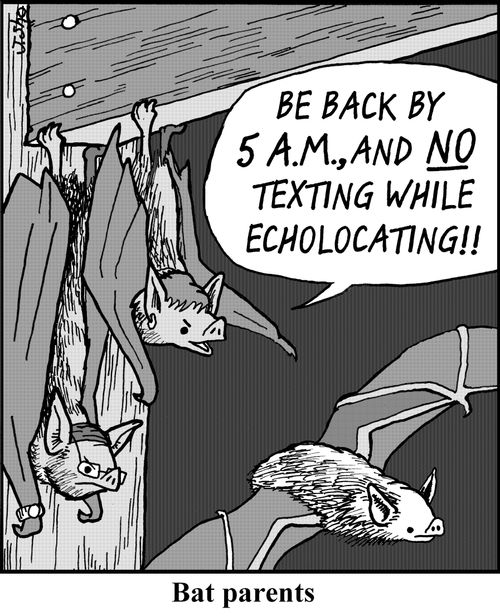 'Be back by 5 AM, and NO texting while echolocating!'