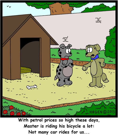 'With petrol prices so high these days, Master is riding his bicycle a lot: Not many car rides for us...'