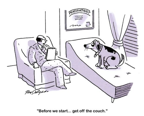 'Before we start... get off the couch.'