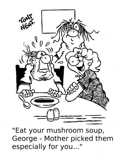 'Eat your mushroom soup, George - Mother picked them especially for you...'