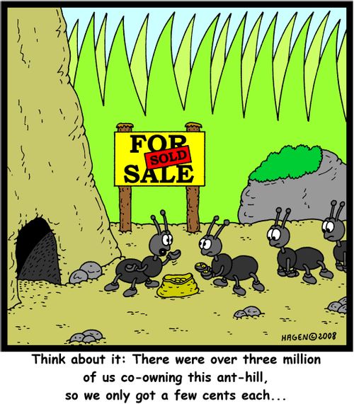 'Think about it: There were over three million of us co-owning this ant-hill, so we only got a few cents each...'