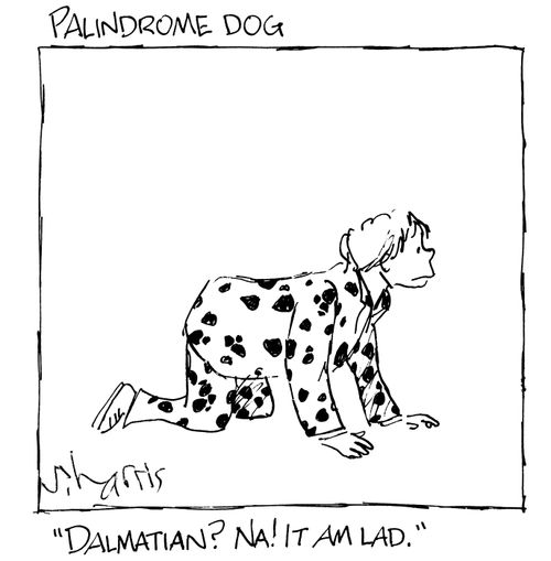 Palindrome Dog.  'Dalmation?  Na!  It am lad.'