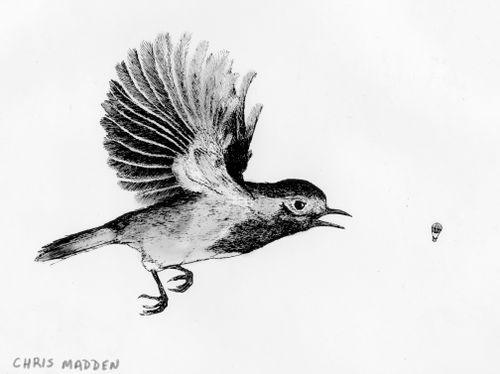 Gigantic bird or tiny balloon?