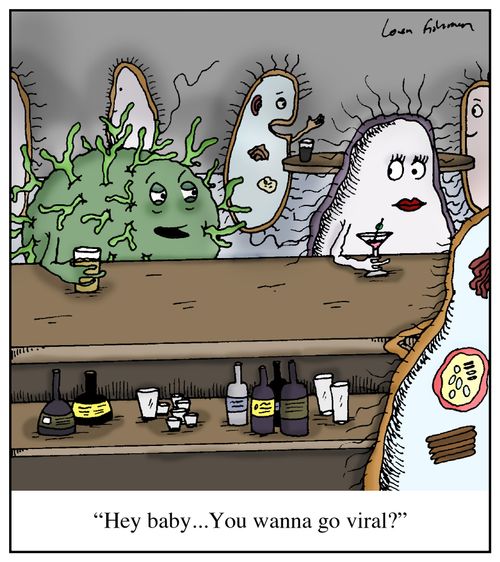 'Hey baby...You wanna go viral?'