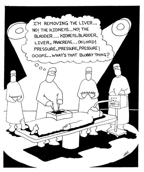 "I'm removing the liver.. No, the kidneys... Presure, pressure, what's that blobby thing?"