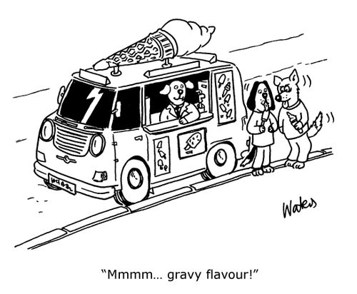 'Mmmm... gravy flavour!'