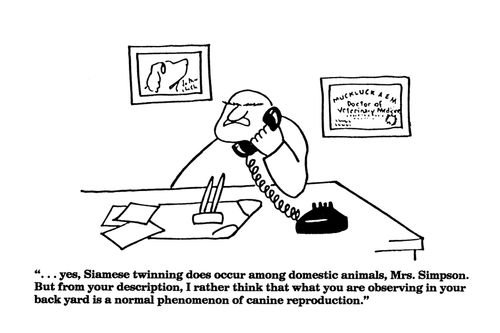 '...yes, Siamese twinning does occur among domestic animals...