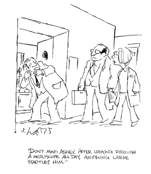 'Don't mind Ashley.  After looking through a microscope all day, anything large startles him.'