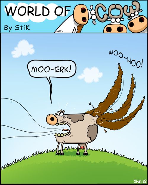 Cow Blue Arrows