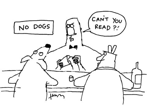 No dogs allowed !