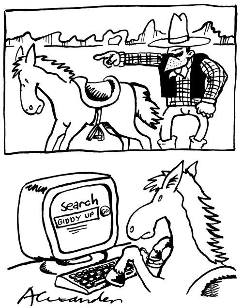 Redundant horse searches for the definition of 'giddy up' online.