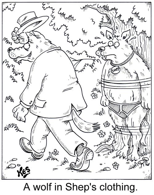 A wolf in Shep's clothing.