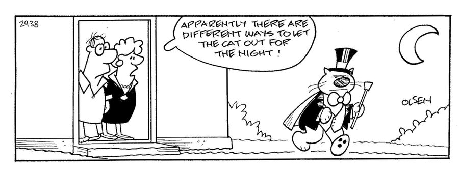'apparently there are different ways to let the cat out for the night!'