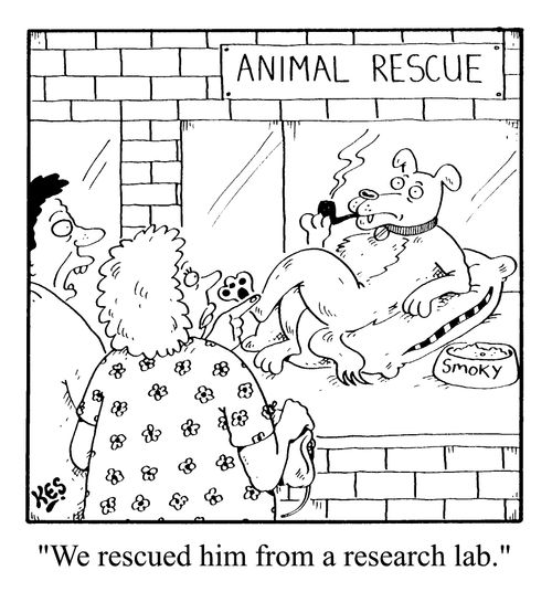 "We rescued him form the research lab."