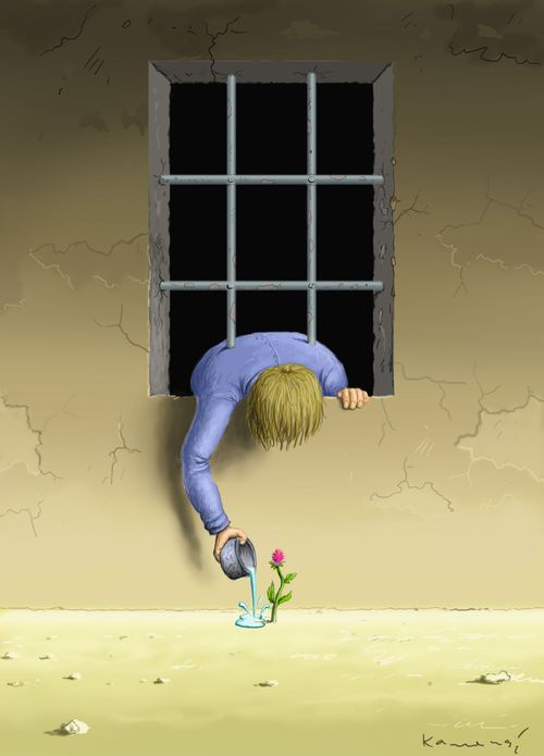Watering a Flower from Inside a Prison.