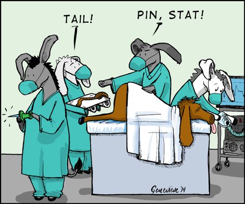 Pin the Tail on the Donkey