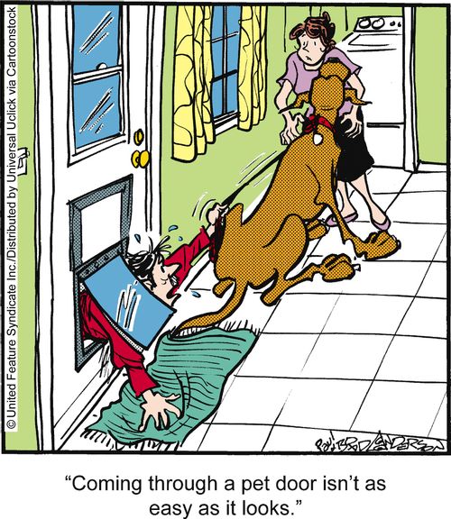 'Coming through a pet door isn't as easy as it looks.'
