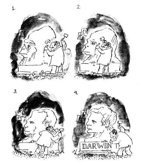 Darwin's Evolving Statue.