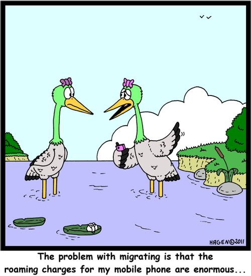 'The problem with migrating is that the roaming charges for my mobile phone are enormous...'