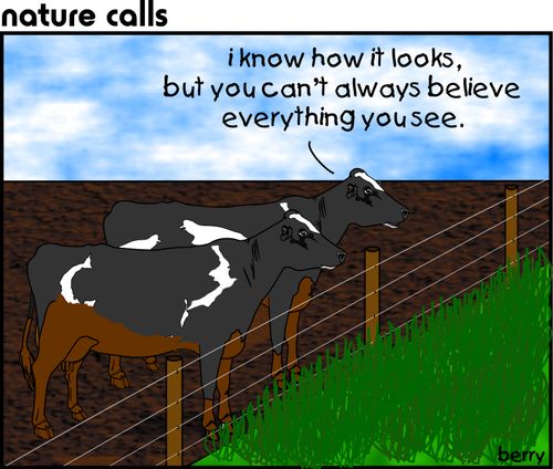 Grass is greener.