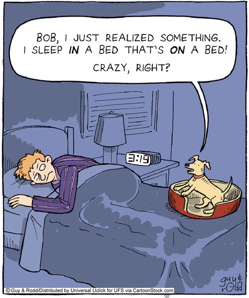 'Bob, I just realized something. I sleep in a bed that's on a bed! Crazy, right?'