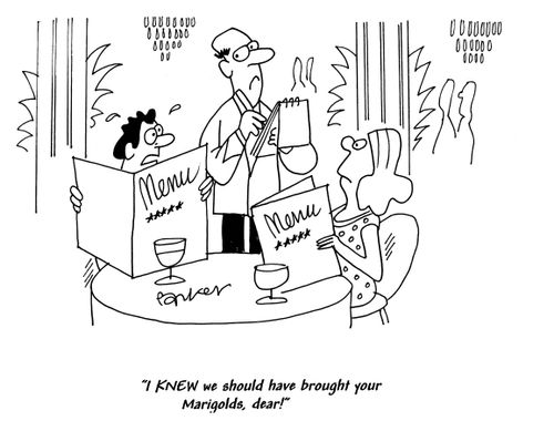 'I knew we should have brought your marigolds,dear!'