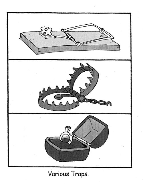 Various Traps.