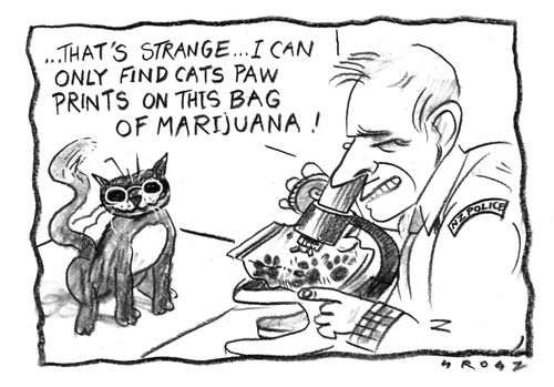 A NZ cat brings home a bag of cannabis which police are checking for fingerprints to trace the owner.