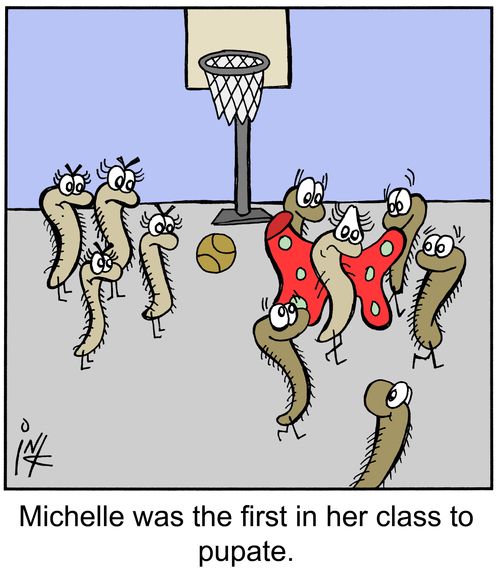 Michelle was the first in her class to pupate.