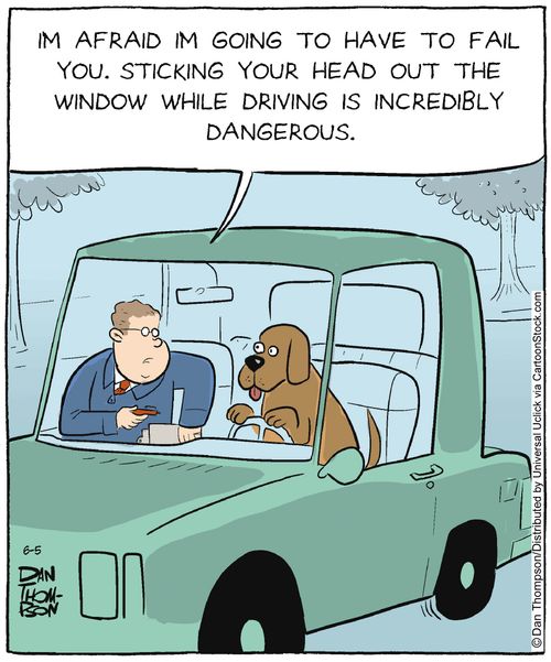 'I'm afraid I'm going to have to fail you. Sticking your head out the window while driving is incredibly dangerous.'
