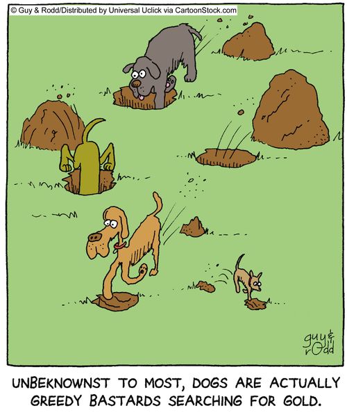 Unbeknownst to most, dogs are actually greedy bastards searching for gold,