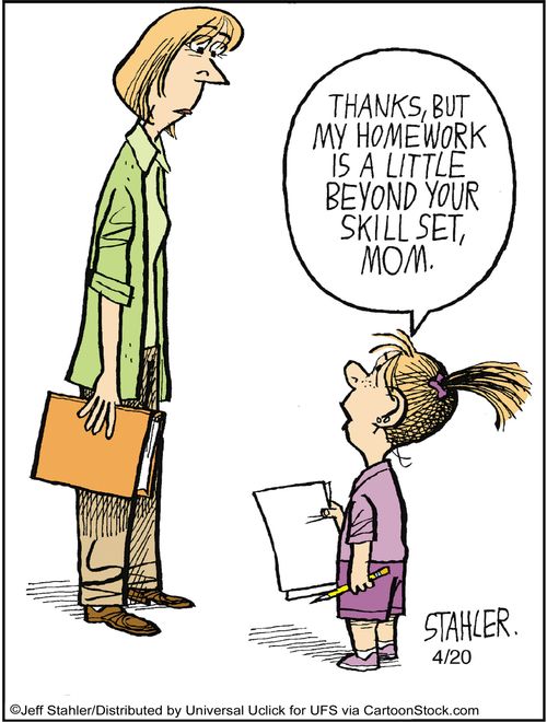 'Thanks, but my homework is a little beyond your skill set, Mom.'