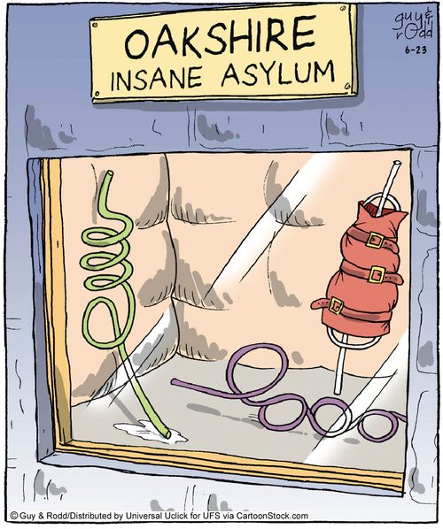 Insane Asylum.