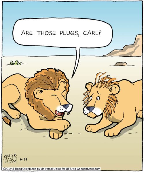 'Are those plugs, Carl?'