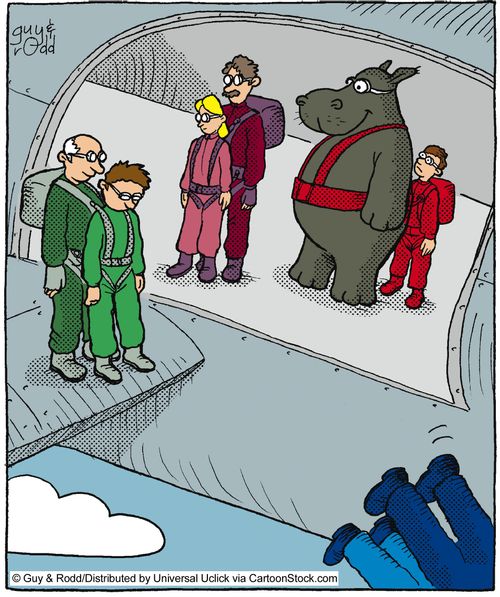 Unfortunate Sky Diving Partner.