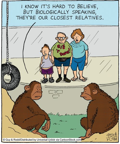 'I know it's hard to believe. But biological speaking, they're our closest relatives.'