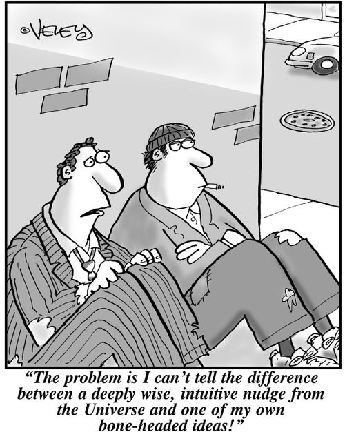 'The problem is I can't tell the difference between a deeply wise, intuitive nudge from the Universe and one of my own bone-headed ideas!'